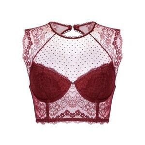 New Women 36DD pink Color DOBREVA Women's Lace Corset Top Sexy Bralette Bustier